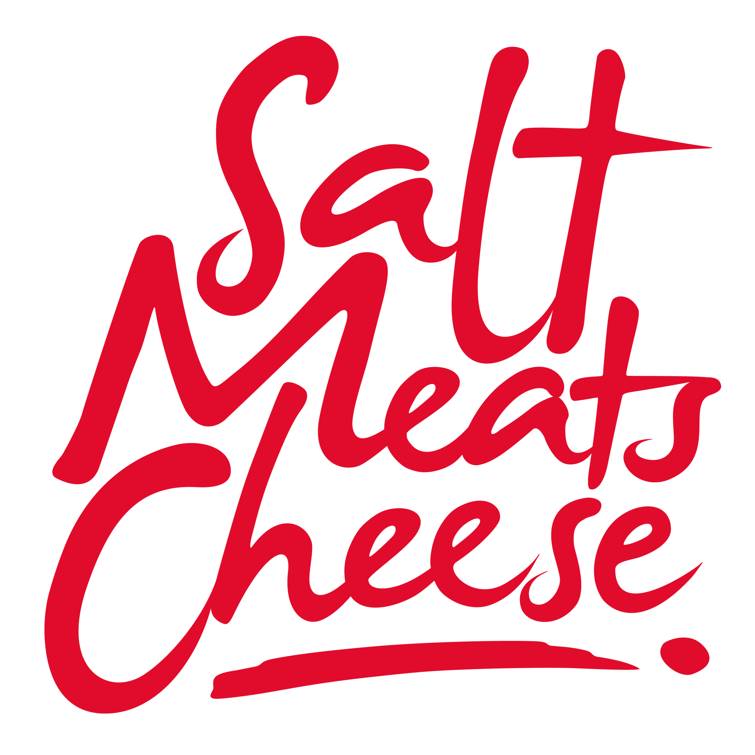 salt meats cheese logo
