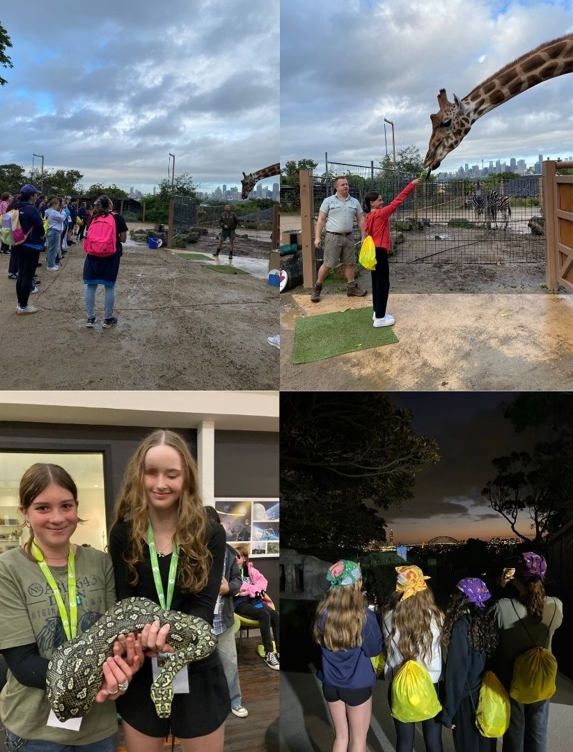 a montage of images from Canteen's trip to Roar and Snore