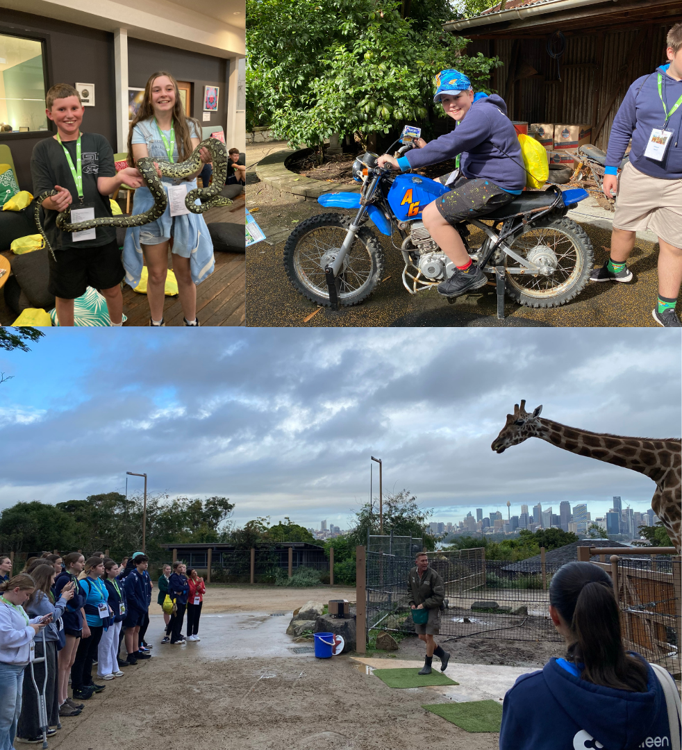 a montage of images from Canteen's trip to Roar and Snore