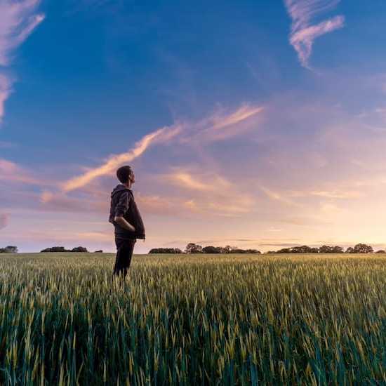 Teenage boy looking at sky in a field