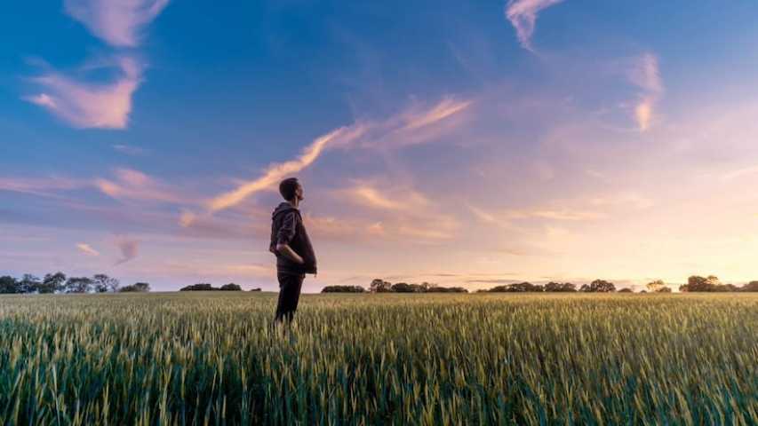 Teenage boy looking at sky in a field